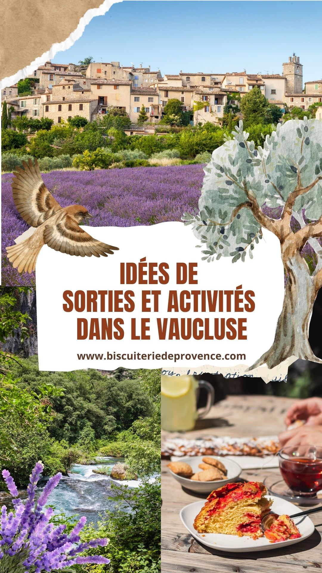 Idées de  sorties et activités  dans le Vaucluse